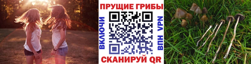 Псилоцибиновые грибы Magic Shrooms  Темников 